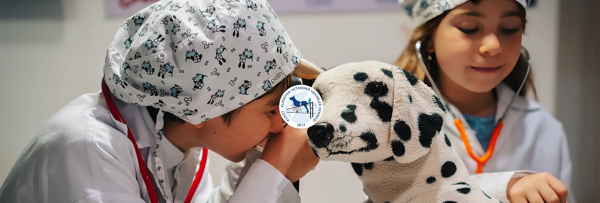 Veterinary